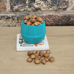 CORYLUS COLURNA BOLU FINDIĞI FİDANI AŞISIZ ANAÇ