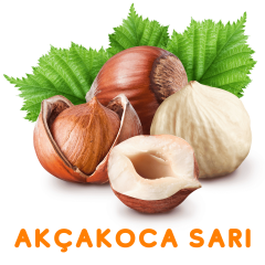 AKÇAKOCA SARI FINDIK  FİDANI