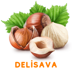 DELİSAVA FINDIK FİDANI