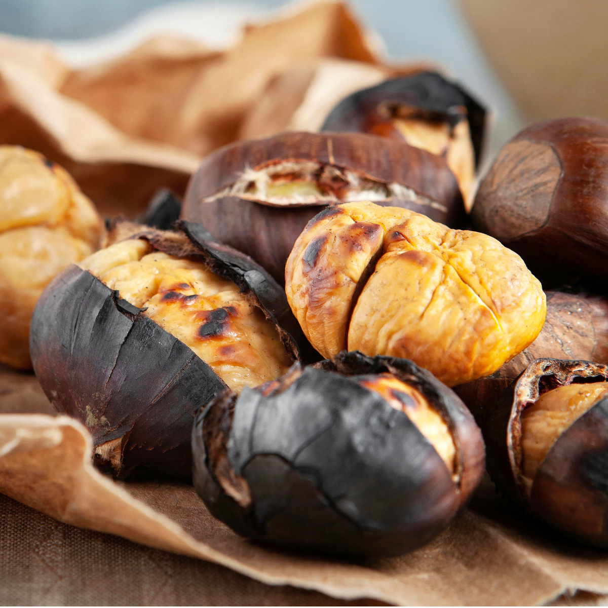 KARADENİZ KESTANE FİDANI