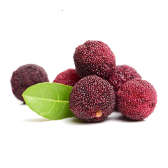 KOCAYEMİŞ DAĞ ÇİLEĞİ FİDANI