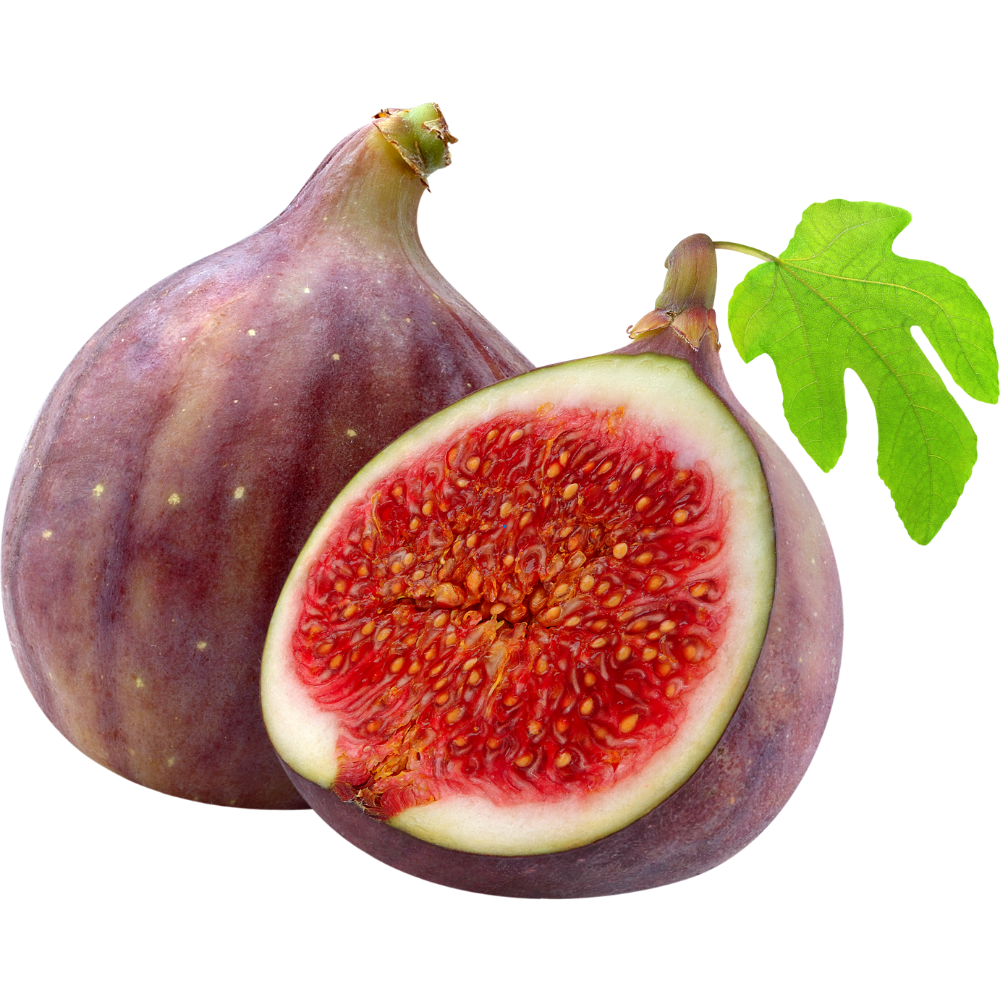 KARADENİZ PATLICAN İNCİR FİDANI