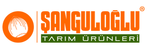 TEK AĞAÇ SİSTEMİ FINDIK FİDANLARI